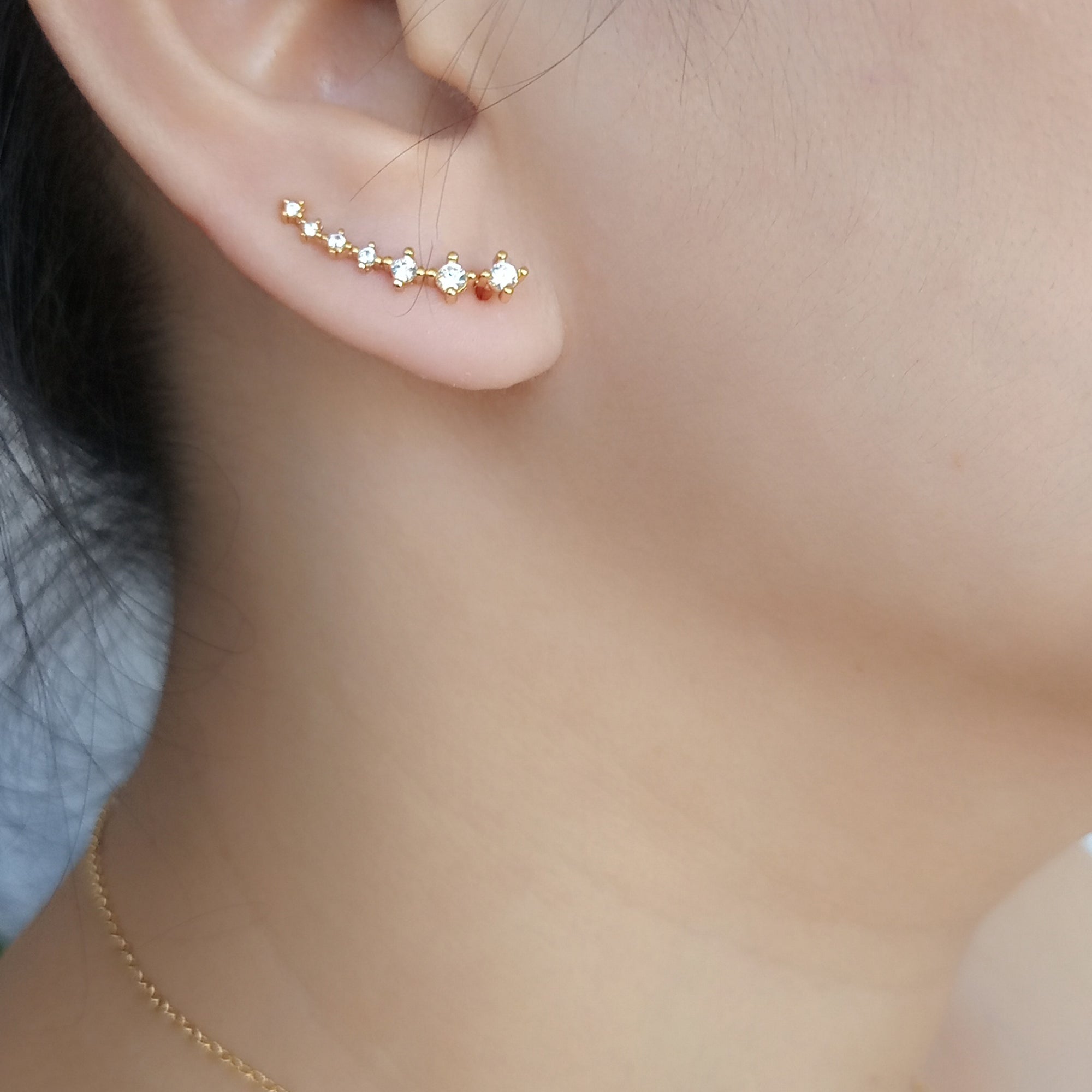 Ear Crawler Earrings Collection — detail